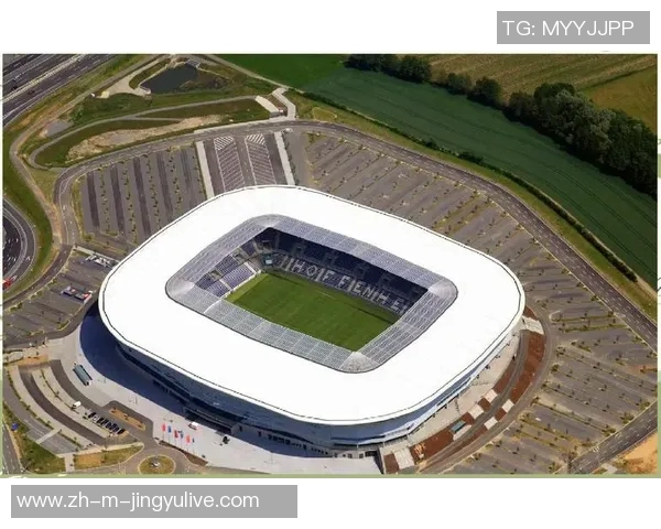 霍芬海与布拉加的精彩对决揭示了欧洲足球的激烈竞争与战术博弈